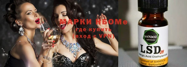 Альфа ПВП Аркадак