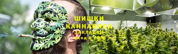 Альфа ПВП Аркадак