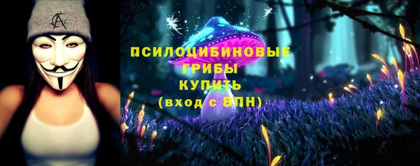 меф Арсеньев